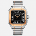 Watch Poedagar Watch Gold Steel Elite.